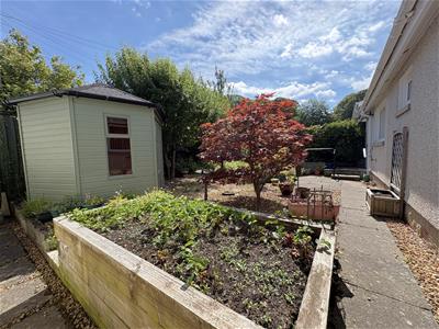 Picture 20